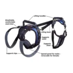 PetSafe® CareLift ™ Full Body Nylon Support Dog Harness - Image 3