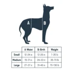 PetSafe® CareLift ™ Full Body Nylon Support Dog Harness - Image 5