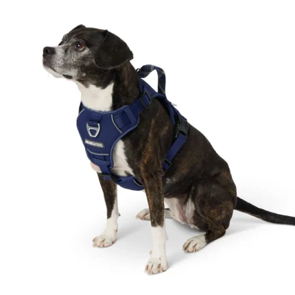 Arcadia Trail® Quick Dry Dog Harness