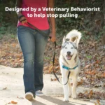 PetSafe® Easy Walk Deluxe Dog Harness - No Pull Dog Harness - Image 2