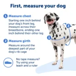 PetSafe® Easy Walk Deluxe Dog Harness - No Pull Dog Harness - Image 4