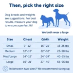 PetSafe® Easy Walk Deluxe Dog Harness - No Pull Dog Harness - Image 5