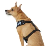 Top Paw® Checkered Comfort Dog Harness - Image 2
