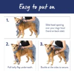 Top Paw® Checkered Comfort Dog Harness - Image 6