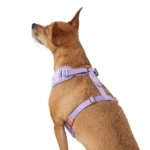 Top Paw® Cheetah Dog Harness - Image 2