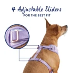 Top Paw® Cheetah Dog Harness - Image 4
