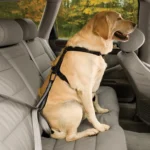 Kurgo® Dog Seat Belt Tether with Carabiner - Enhanced Strength Replacement Tether - Black & Silver - Image 3