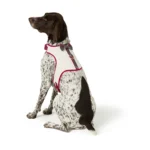 Merry & Bright® Holiday Vest Harness