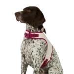 Merry & Bright® Holiday Vest Harness - Image 2