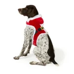 Merry & Bright® Santa Costume Harness