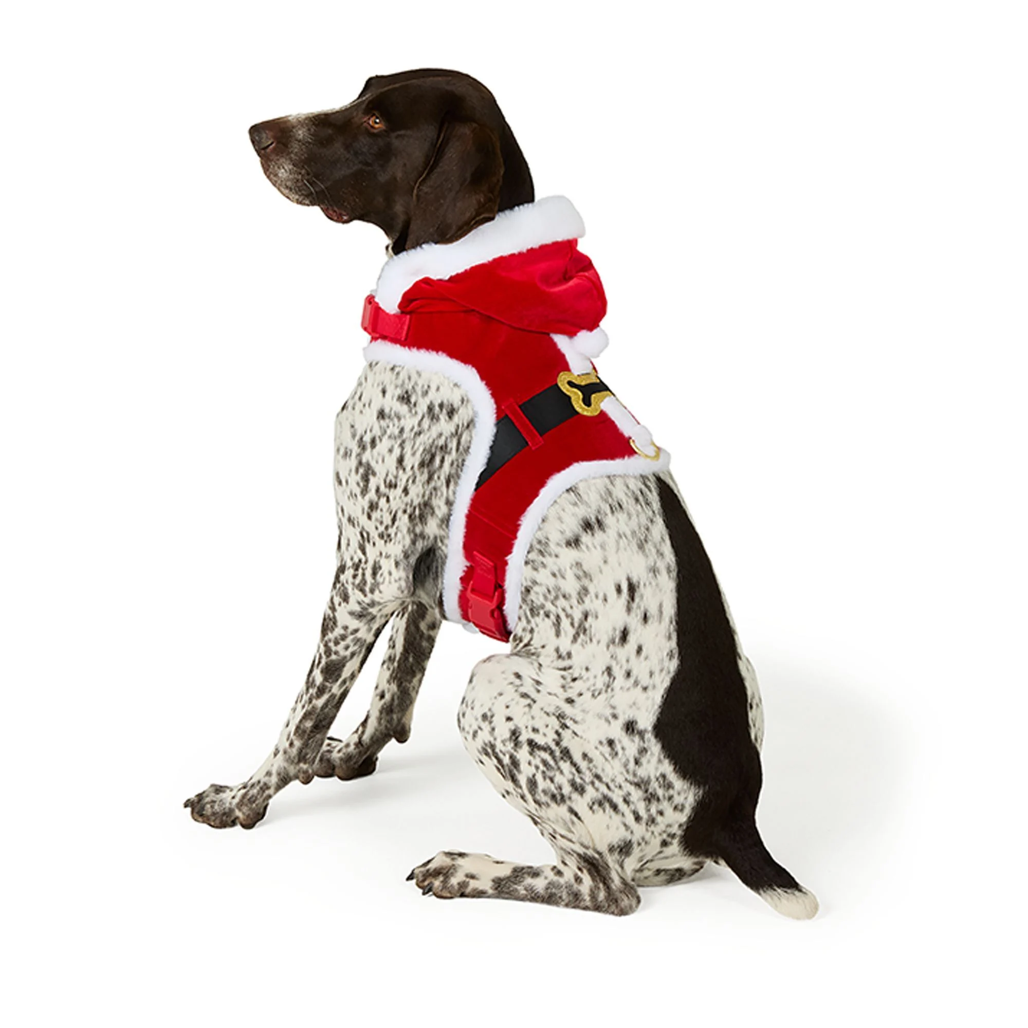 img_1761296052091_137_k20VYT5vp.webp Merry & Bright® Santa Costume Harness - Image 1
