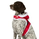 Merry & Bright® Santa Costume Harness - Image 2