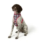 Merry & Bright® Candy Cane Reversible Dog Harness