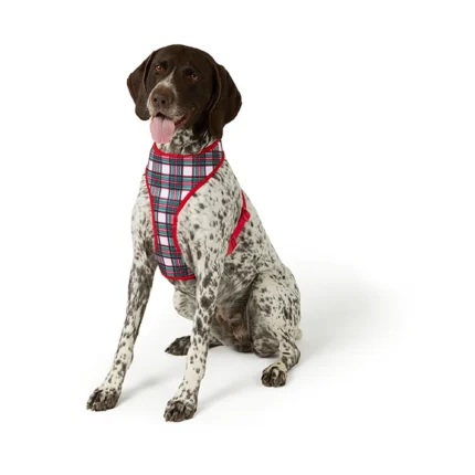 Merry & Bright® Candy Cane Reversible Dog Harness