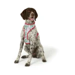 Merry & Bright® Candy Cane Reversible Dog Harness - Image 5