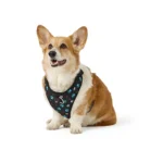 Top Paw® Patterned Harness