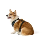 Top Paw® Patterned Harness - Image 2