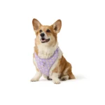 Top Paw® Daisy Lavendar Harness