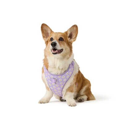 Top Paw® Daisy Lavendar Harness