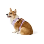 Top Paw® Daisy Lavendar Harness - Image 2