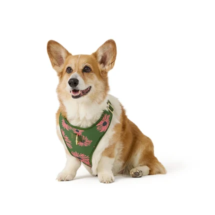 Top Paw® Green Floral Harness
