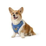 Top Paw® Blue Floral Harness