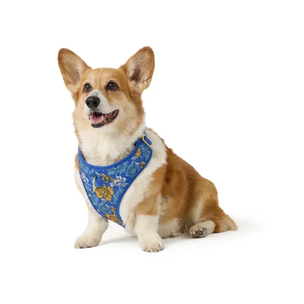Top Paw® Blue Floral Harness
