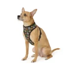 Thrills & Chills® Spider Webs/Ghosts Reversible Harness