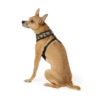 Thrills & Chills® Spider Webs/Ghosts Reversible Harness - Image 2