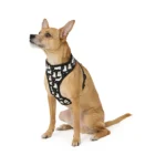 Thrills & Chills® Spider Webs/Ghosts Reversible Harness - Image 3