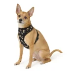 Thrills & Chills® Black and Orange Reversible Harness