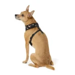 Thrills & Chills® Black and Orange Reversible Harness - Image 2