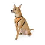 Thrills & Chills® Black and Orange Reversible Harness - Image 3