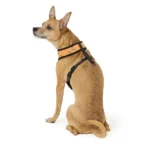 Thrills & Chills® Black and Orange Reversible Harness - Image 4