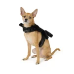 Thrills & Chills® Spider Costume Harness - Image 2