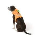 Thrills & Chills® Pumpkin Costume Harness