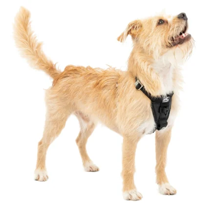 Kurgo® Enhanced Strength Tru-Fit Smart Harness for Dogs