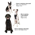 Kurgo® Enhanced Strength Tru-Fit Smart Harness for Dogs - Image 7
