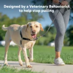 PetSafe® Easy Walk Harness, No Pull Dog Harness - Image 2