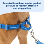 PetSafe® Easy Walk Harness, No Pull Dog Harness - Image 3