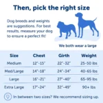 PetSafe® Easy Walk Harness, No Pull Dog Harness - Image 5