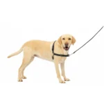 PetSafe® Easy Walk Harness, No Pull Dog Harness - Image 7