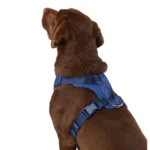 Top Paw® Neoprene Comfort Dog Harness - Image 2