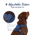 Top Paw® Neoprene Comfort Dog Harness - Image 4