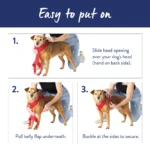 Top Paw® Neoprene Comfort Dog Harness - Image 6
