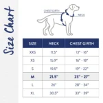 Top Paw® Neoprene Comfort Dog Harness - Image 7