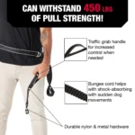 KONG® Shock Absorbing Hands-Free Dog Leash: 6-ft long - Image 3