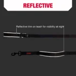 KONG® Shock Absorbing Hands-Free Dog Leash: 6-ft long - Image 5