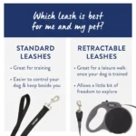 Top Paw® Standard Dog Leash: 6-ft long - Image 4