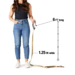 KONG® Hands-Free Dog Leash: 6-ft long - Image 2